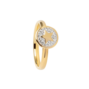 0160RG01   PVD-Echtgold-Beschichtung PVD-Echtgold-Beschichtung