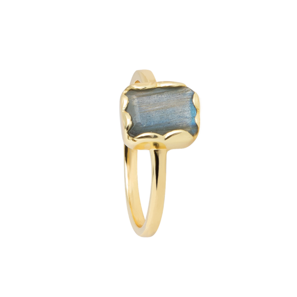 8006RG73   Echtgold-Veredelung Echtgold-Veredelung