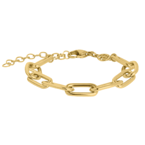 0179BG00   PVD-Echtgold-Beschichtung PVD-Echtgold-Beschichtung