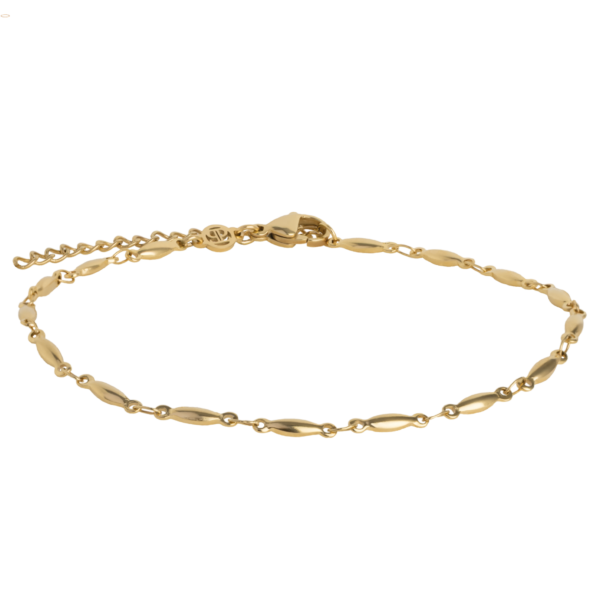 0262BG00 PVD-Echtgold-Beschichtung PVD-Echtgold-Beschichtung