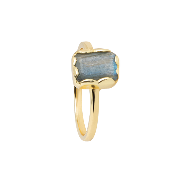 8006RG73 Echtgold-Veredelung Echtgold-Veredelung